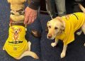 Rep Randy Fine to bring 4-legged guest Sadie to Trump’s State of the Union amid backlash over X post
